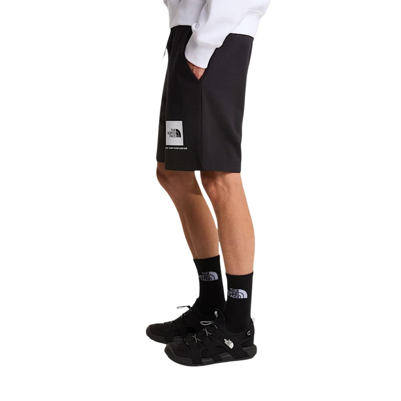 The North Face Bermudas Vīriešiem