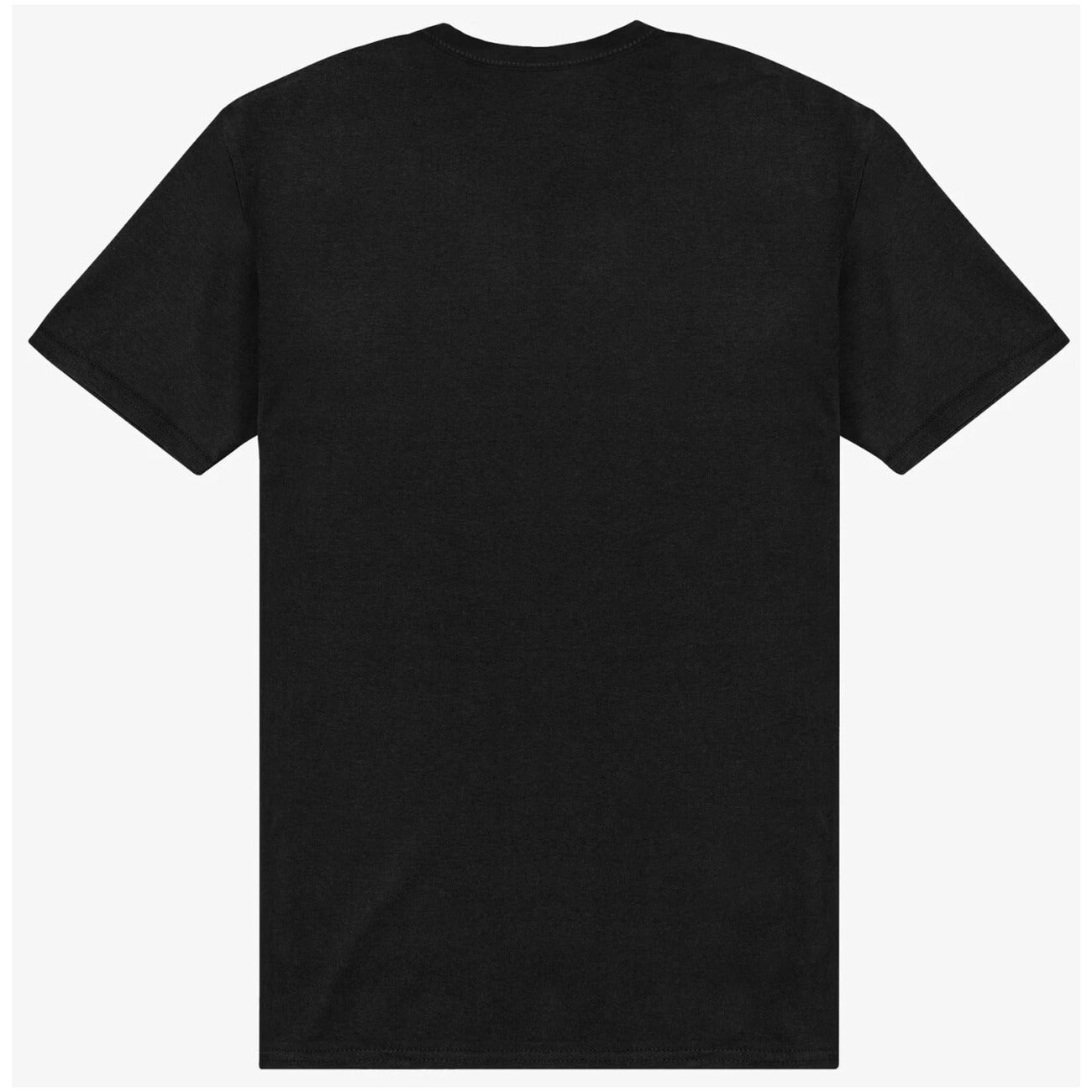 The North Face T-krekls Vīriešiem