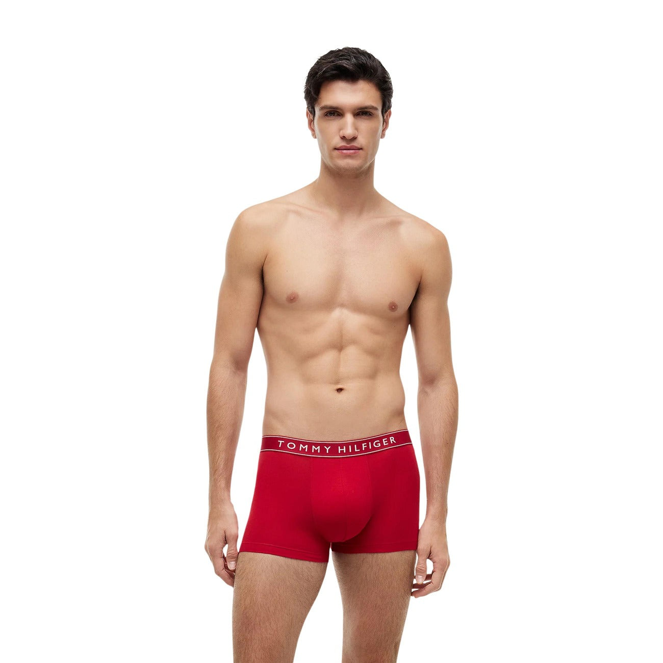 Tommy Hilfiger Apakšveļa Vīriešiem