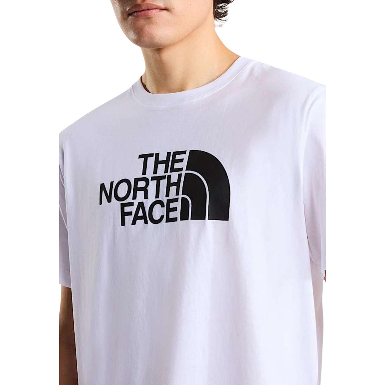 The North Face T-krekls Vīriešiem
